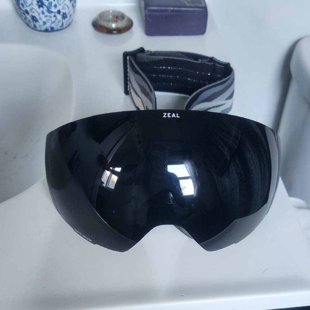 Zeal Portal Goggles